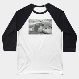 Perentie Lizard Baseball T-Shirt